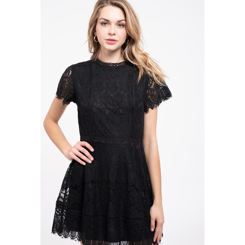 Black Lace Dress - Picture 7 of 8